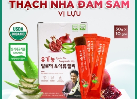 Thạch Nha Đam Sâm Vị Lựu Đỏ - Bổ Sung Collagen, Hỗ Trợ Đẹp Da Đẹp Dáng, Tiêu Hóa Khỏe