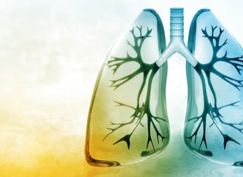 How to Keep Your Lungs Strong for COVID-19