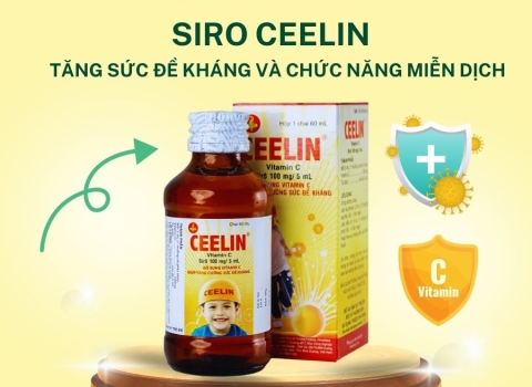 Nên bổ sung bao nhiêu Vitamin C cho một ngày thì đủ? ABC Pharmacy