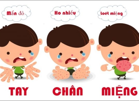 6 TIP PHÒNG CHỐNG TAY CHÂN MIỆNG, ABC PHARMACY