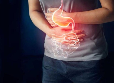 Digestive Aid Solutions for Comfort at ABC Pharmacy - Hoi An Drugstore