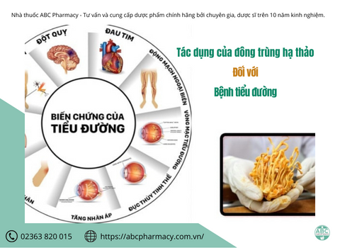 Đông trùng hạ thảo trị bệnh tiểu đường có được không?