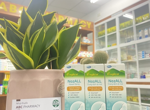 Finding Eugica NozAll : Options in Hoi An Pharmacies