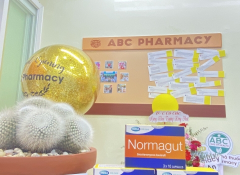 Finding Normagut: Options in Hoi An Pharmacies