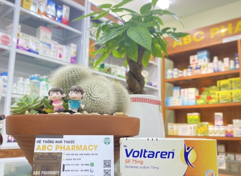 Finding Voltaren 75mg : Options in Hoi An Pharmacies