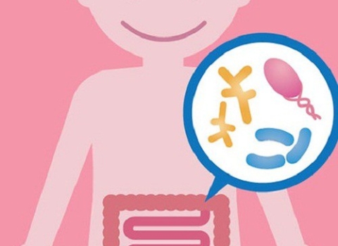 Probiotics are commonly used in Vietnam.