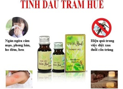 Tác Dụng Của Tinh Dầu Tràm Trong Ngăn Ngừa Cảm Mạo, Ho Đờm.