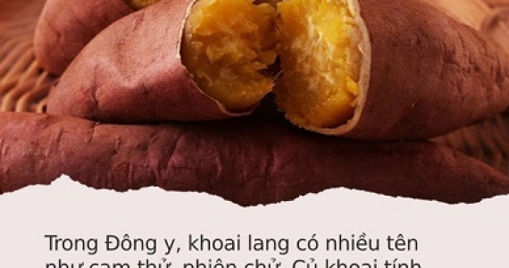 Các Lợi Ích Của Khoai Lang Đối Với Sức Khỏe