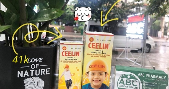 Bổ Sung Vitamin C Cho Trẻ Đúng Cách