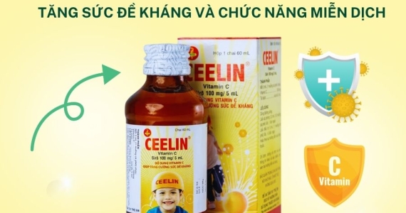 Nên bổ sung bao nhiêu Vitamin C cho một ngày thì đủ? ABC Pharmacy