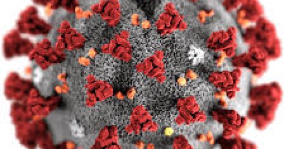Novel coronavirus (COVID-19) - Frequently asked questions