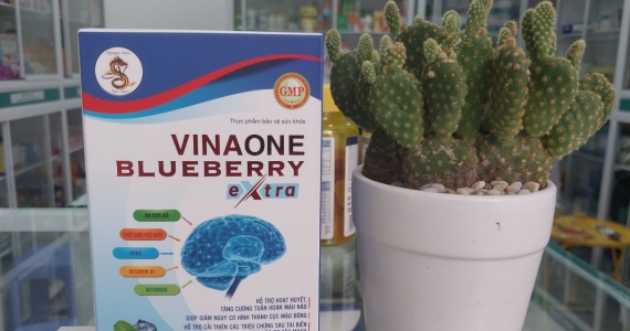 THỰC PHẨM BẢO VỆ SỨC KHỎE VINAONE BLUEBERRY EXTRA, ABC Pharmacy