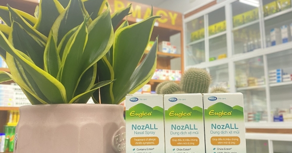 Finding Eugica NozAll : Options in Hoi An Pharmacies