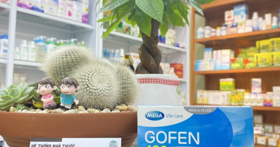 Finding GOFEN : Options in Hoi An Pharmacies