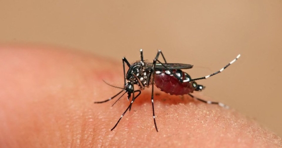 Good experience of a male customer who was bitten by a mosquito at ABC Hoi An pharmacy