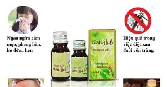 Tác Dụng Của Tinh Dầu Tràm Trong Ngăn Ngừa Cảm Mạo, Ho Đờm.