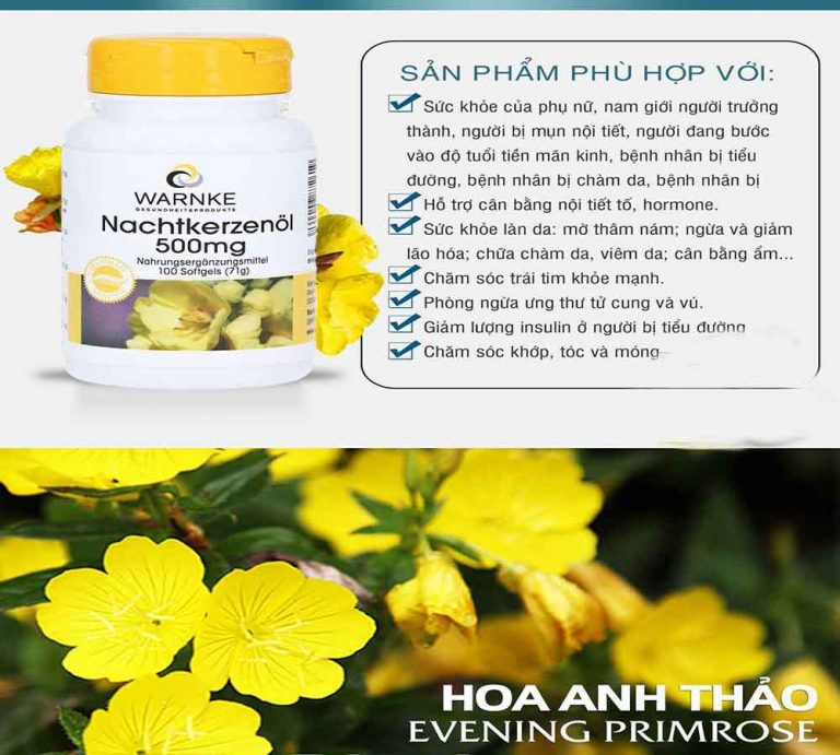 tác dụng viên uống tinh dầu hoa anh thảo