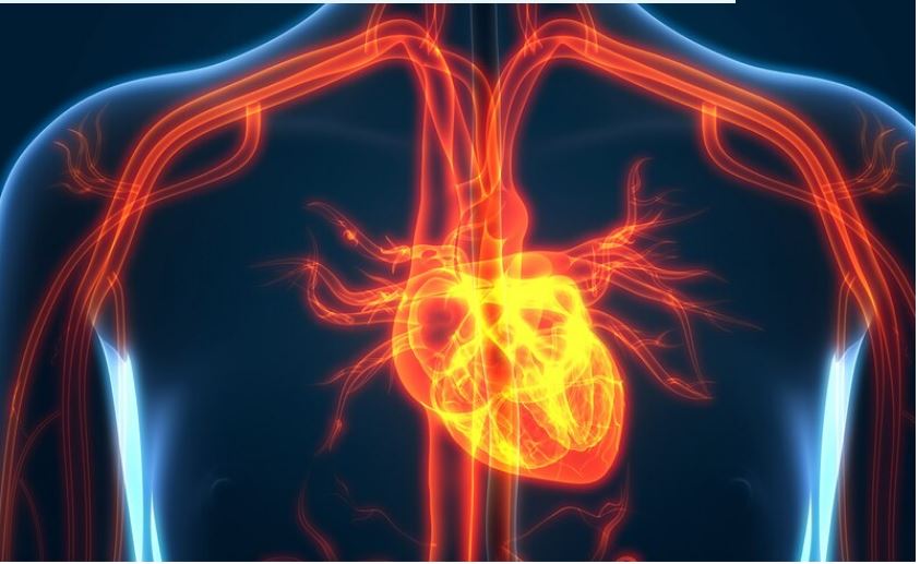 7 Simple Steps to Avoid a Heart Attack abc pharmacy da nang