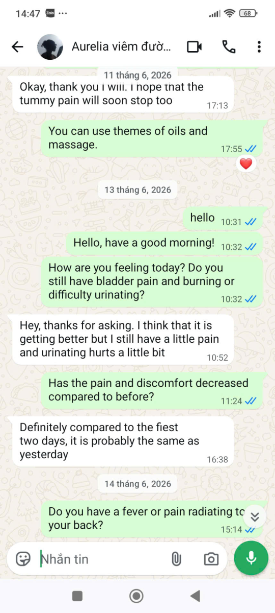 Pharmacist follow-up support for a male traveler with painful and frequent urination in Hoi An, Vietnam