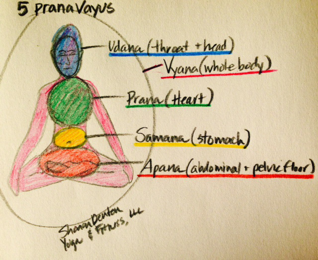 Thien-dinh-tai-tao-nang-luong abc pharmacy danang