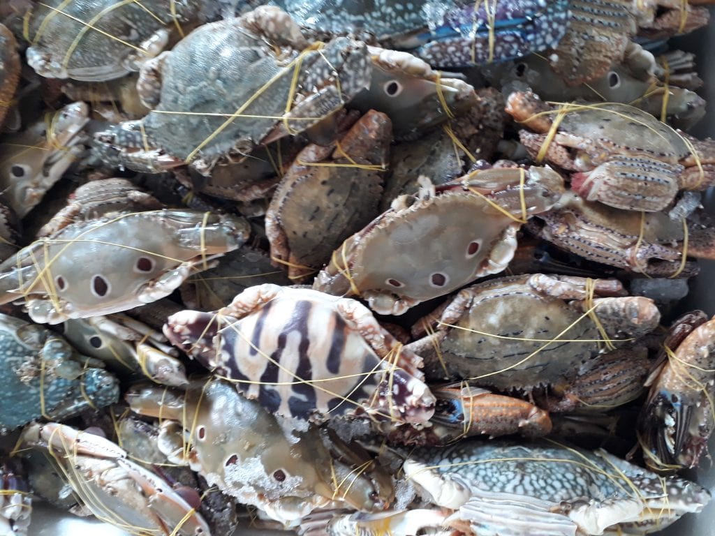 dị ứng cua ghẹ