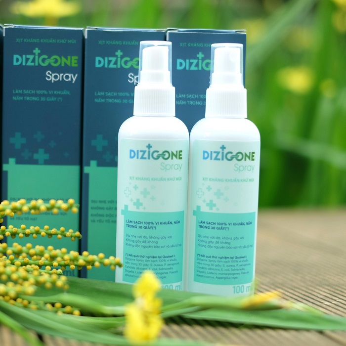 Hình ảnh sản phẩm dung dịch kháng khuẩn Dizigone Spray 100ml