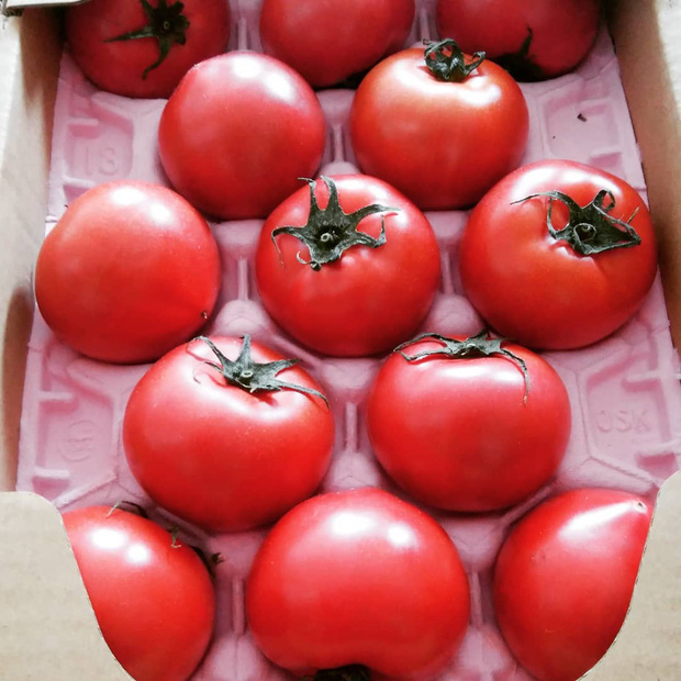 lan-da-sang-khoe-mua-he